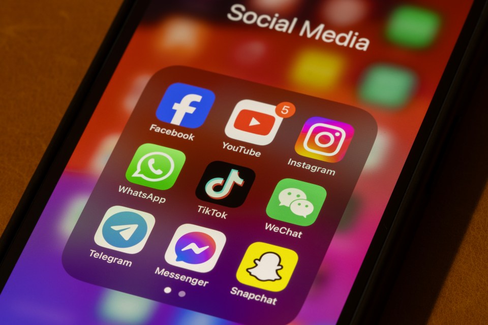 iPhone screen displaying popular social media apps.