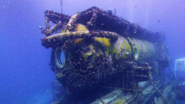 Underwater habitat covered in marine growth.