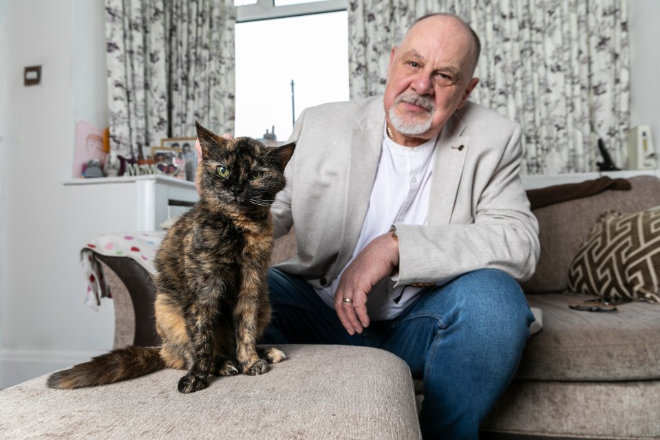 A man petting his tortoiseshell cat.