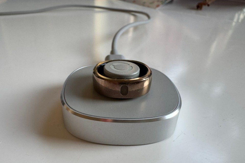 Smart ring on charging dock.