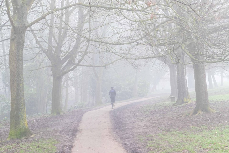 Person jogging on a path in a foggy park.