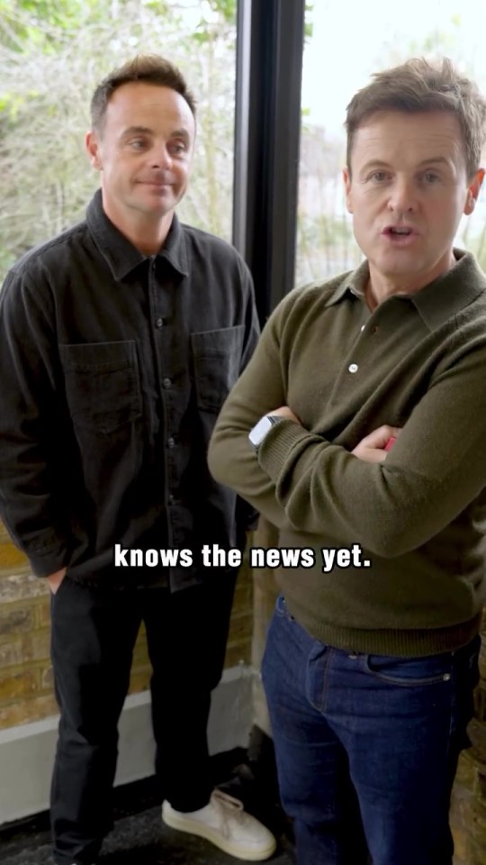 Ant and Dec teasing a return.