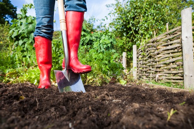 Person in red boots digging in a garden.