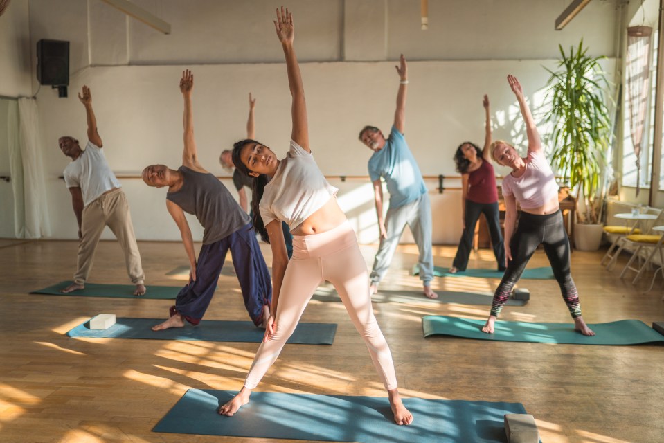 A diverse group of seniors participate in a yoga class.