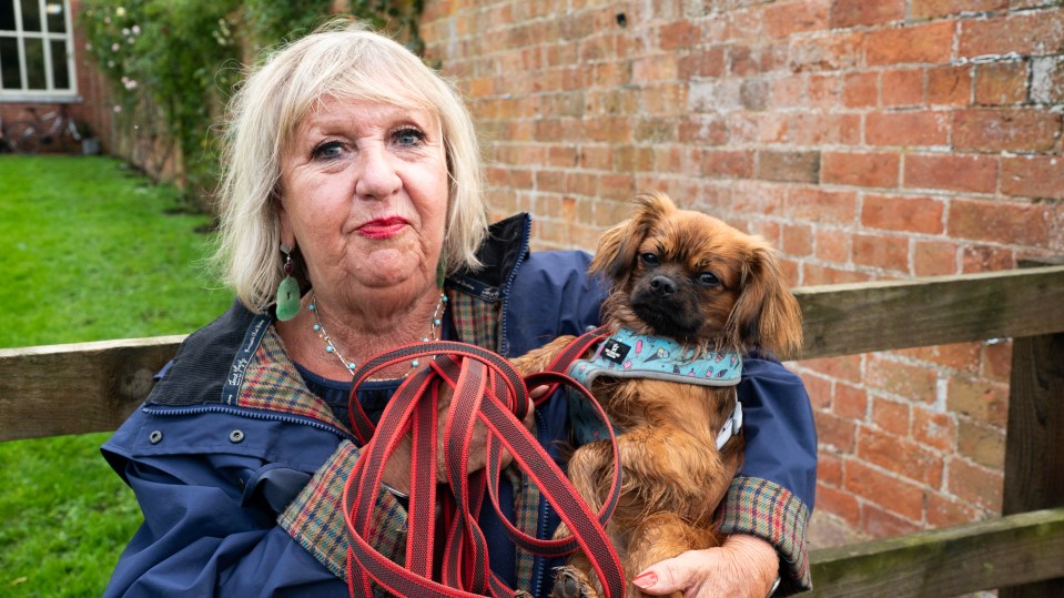 Woman holding a small brown dog.