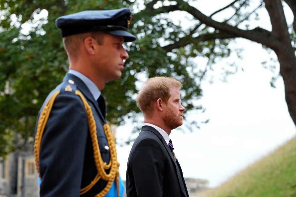 Prince Harry and Prince William following Queen Elizabeth II's coffin.