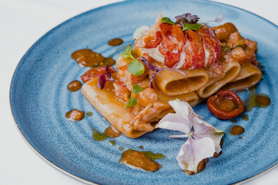 Pasta dish with lobster and sauce.