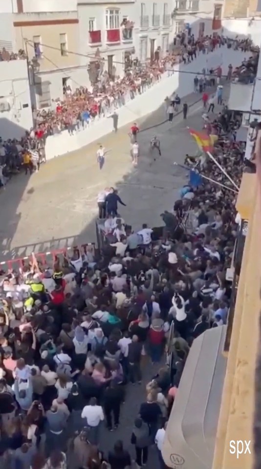 A bull crashes through a barrier at a Spanish festival, injuring spectators.