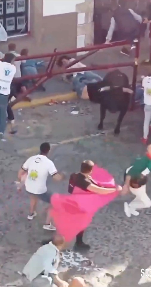 A bull crashes through a barrier at a Spanish festival, injuring spectators.