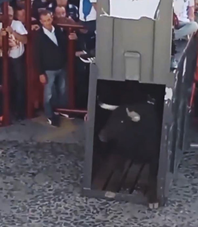 Bull escaping enclosure into crowd.