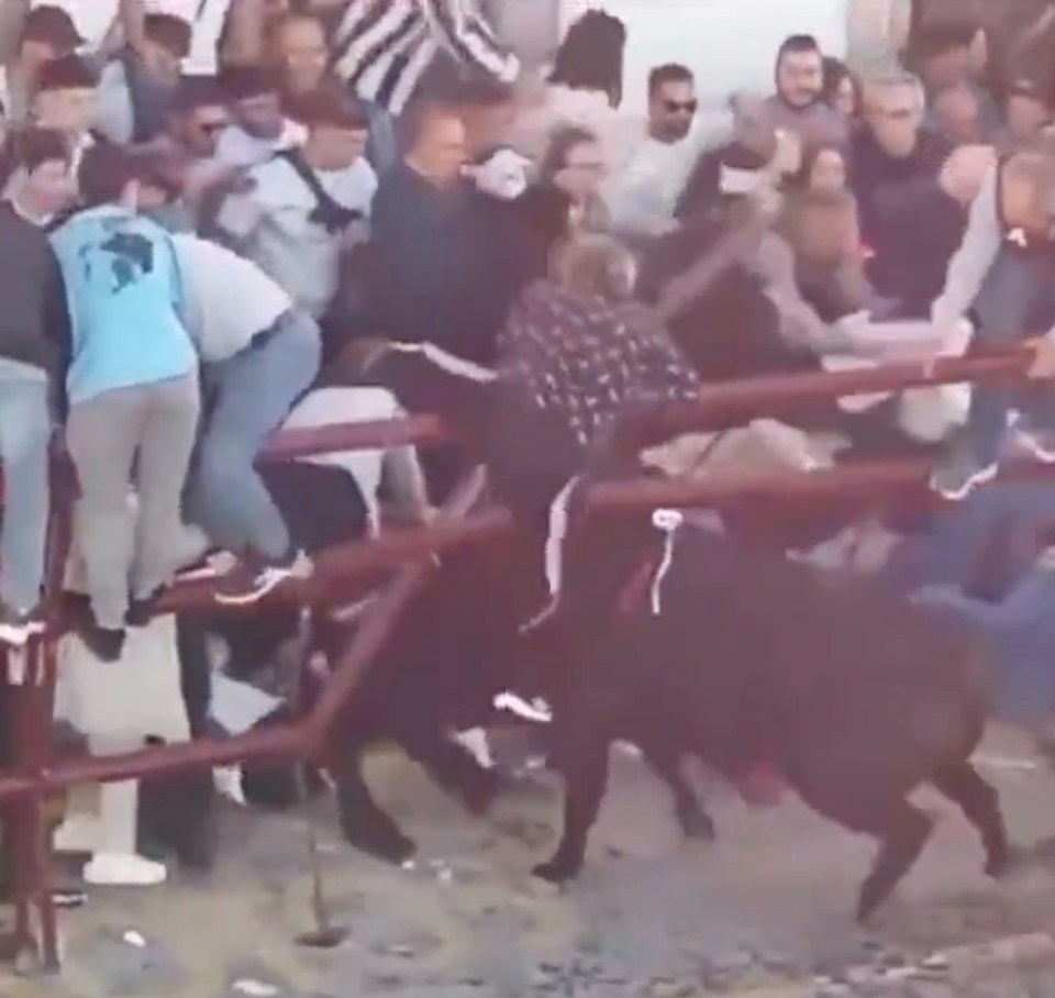 Bull breaking through barrier at Spanish festival, injuring spectators.