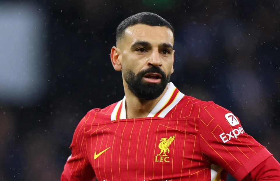 Mohamed Salah of Liverpool during a Premier League match.