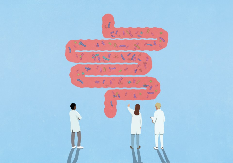 Illustration of three scientists examining a large illustration of the human intestine filled with bacteria.