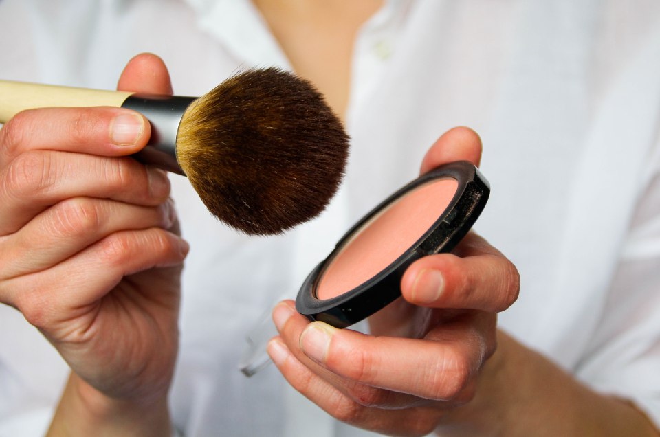 Close-up of hands holding a blush brush and compact.
