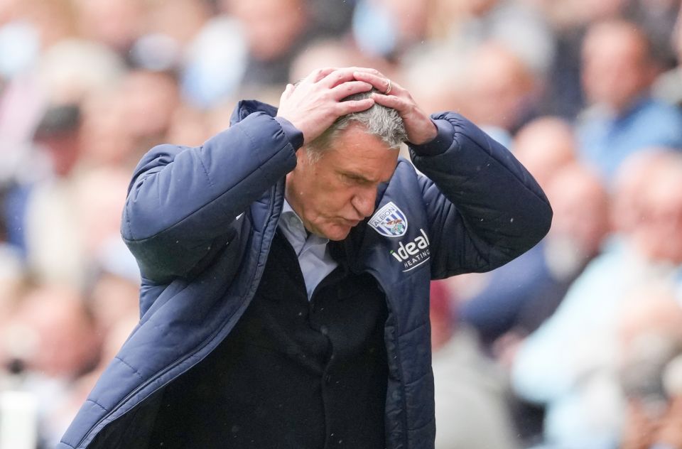 West Bromwich Albion manager Tony Mowbray looking distressed.