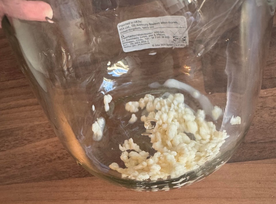 Kefir grains in a glass jar.