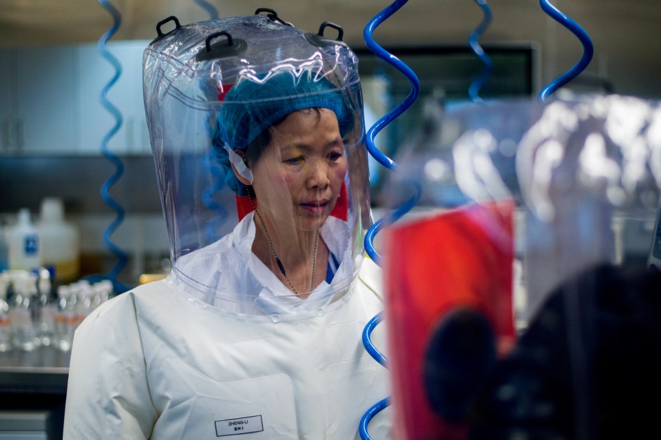 Scientist in a protective suit and hood.