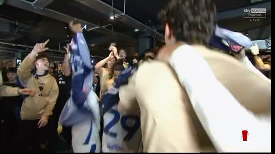Fans celebrating a sports victory.