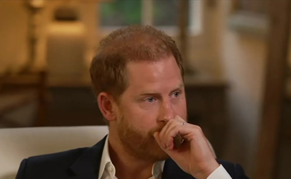 Prince Harry in an interview with BBC News.