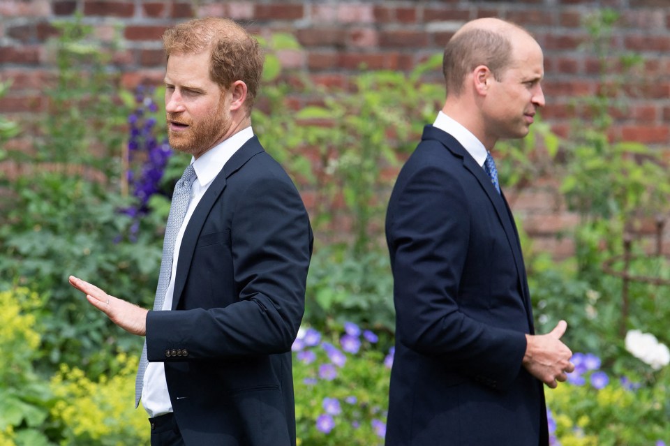 Prince Harry and Prince William at the unveiling of a statue of Princess Diana.