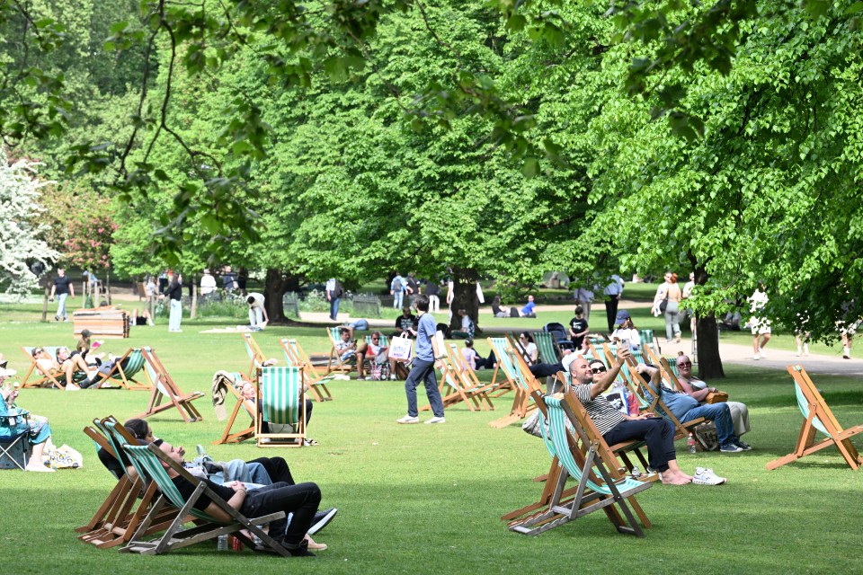 People relaxing in deck chairs in a sunny park.
