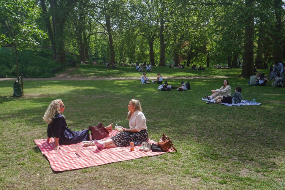 Women enjoying a picnic in a sunny park.