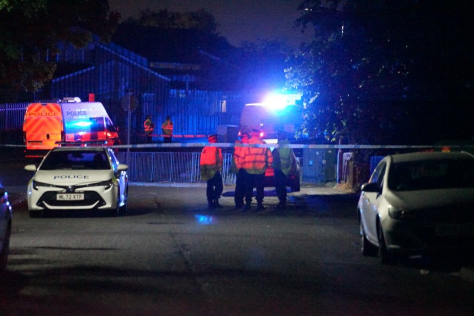 Police cars and officers at a night-time crime scene.
