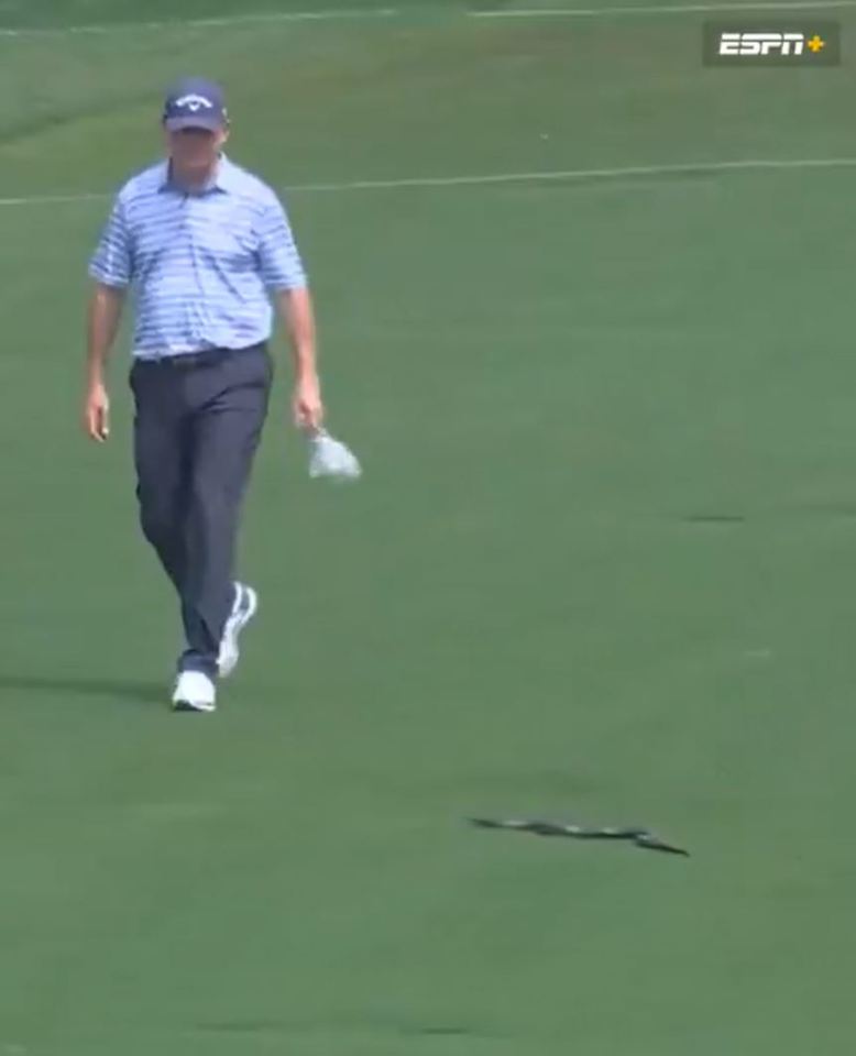 Golfer walking on a green with a snake in the background.