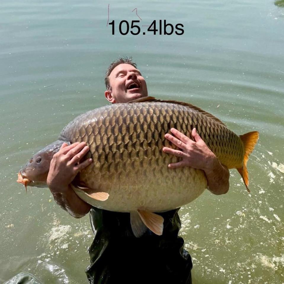 Angler holding a 105.4lb carp.