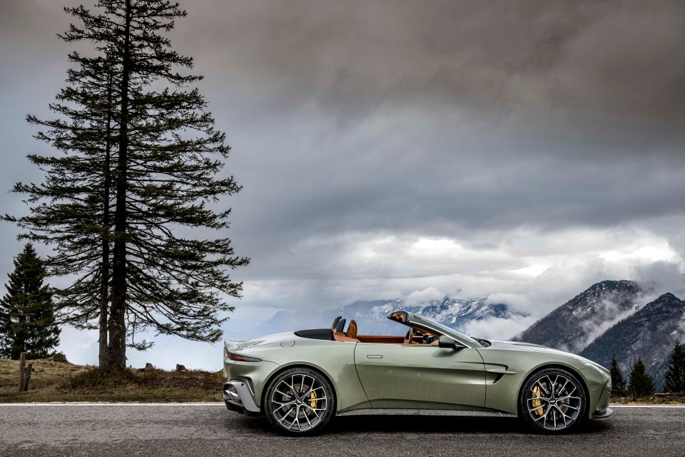 Aston Martin Vanta convertible parked by a tree with mountains in the background.
