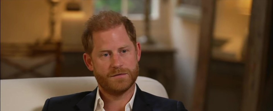 Prince Harry in an interview with BBC News.