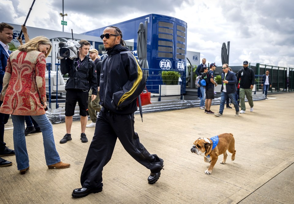 Lewis Hamilton with his dog Roscoe at the F1 British Grand Prix.