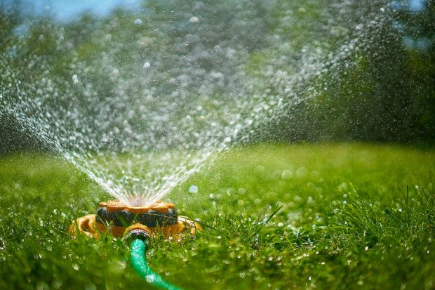 An image collage containing 1 images, Image 1 shows Backyard sprinkler spraying water onto grass