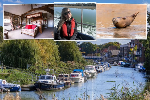 Collage of a hotel room, a woman on a boat, a seal, and a canal with boats.